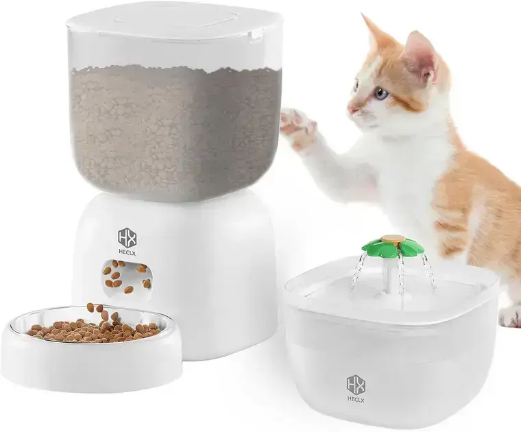 Alimentador automático para gatos